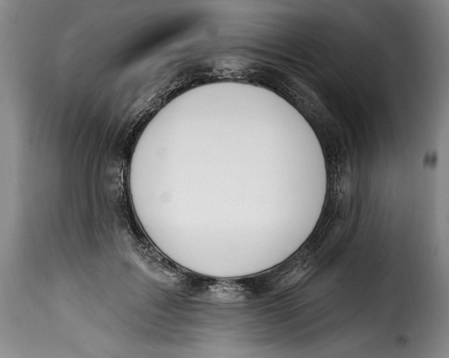 X0000115360603200911241218