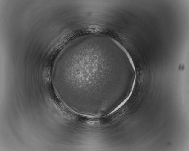 X0000115360606200911241218