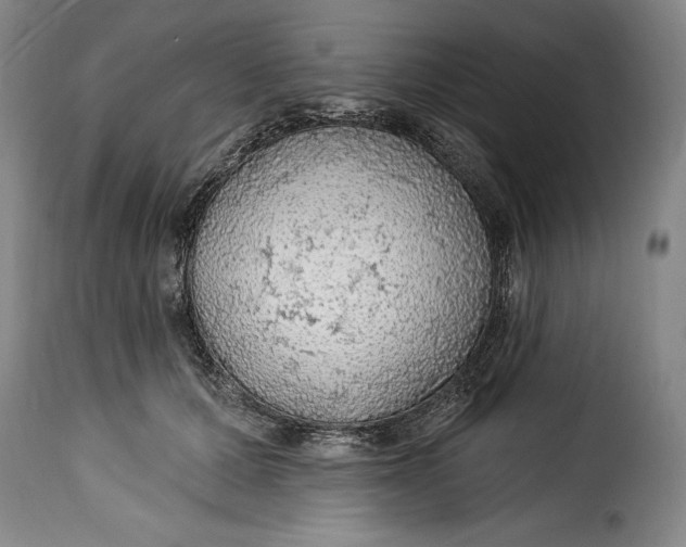 X0000115360607200911241218