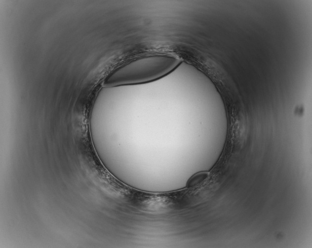 X0000115360609200911241218