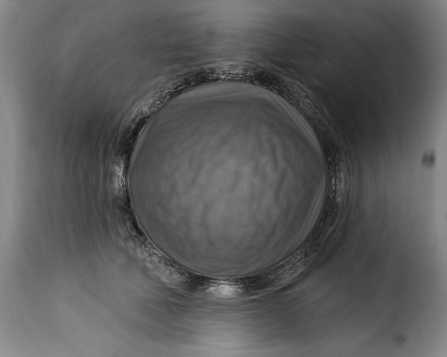 X0000115360610200911241218