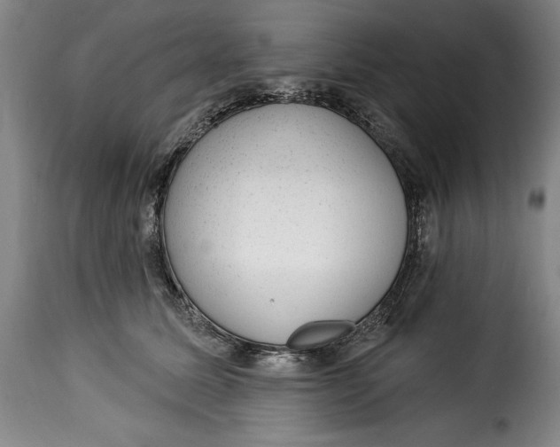X0000115360611200911241218