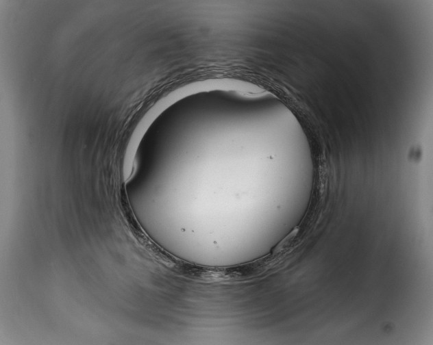 X0000115360613200911241218