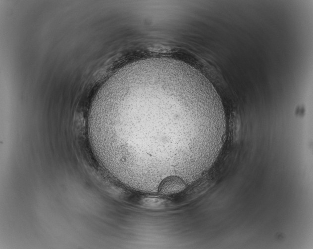 X0000115360614200911241218