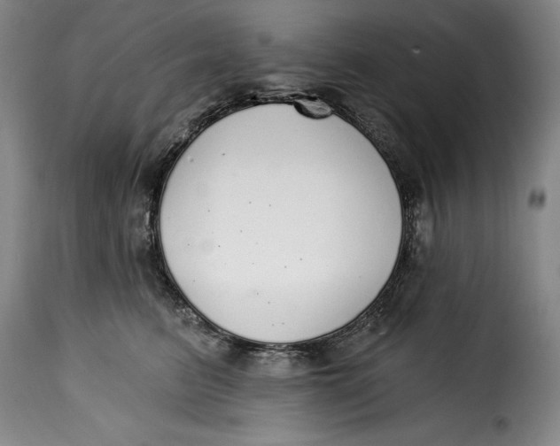 X0000115360615200911241218