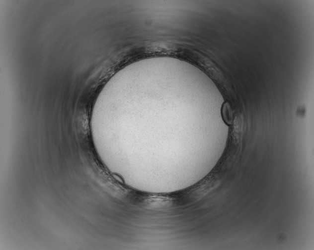 X0000115360617200911241218