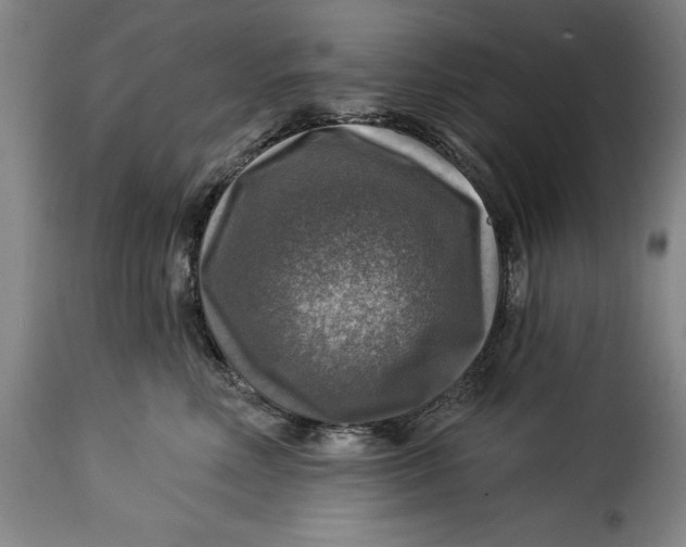 X0000115360618200911241218