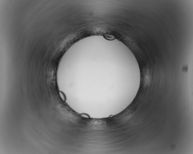X0000115360619200911241218
