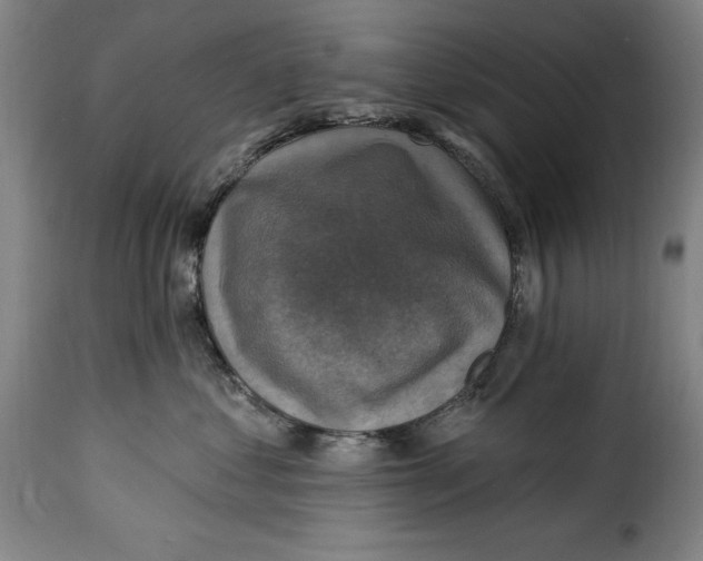 X0000115360621200911241218