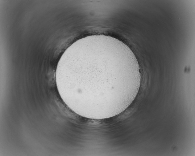 X0000115360624200911241218