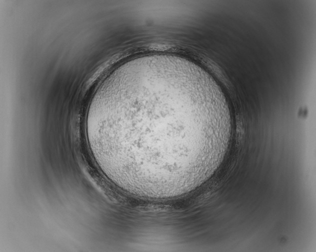 X0000115360626200911241217