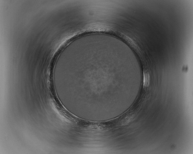 X0000115360627200911241217