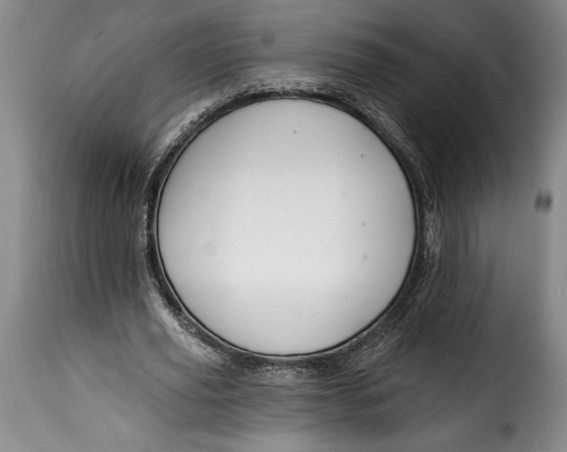 X0000115360629200911241217