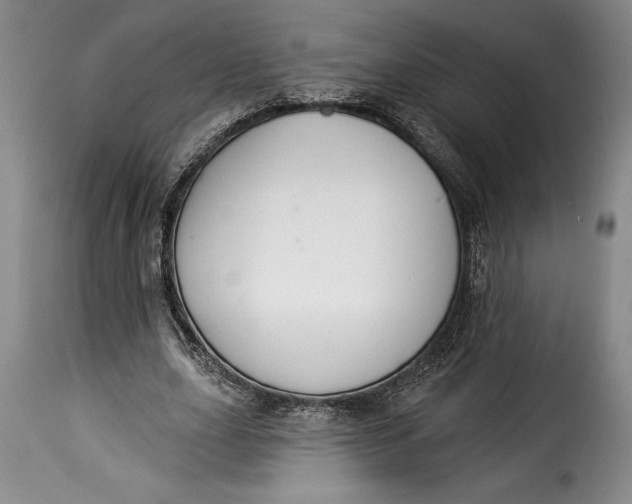 X0000115360631200911241217