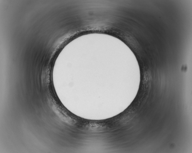 X0000115360632200911241217