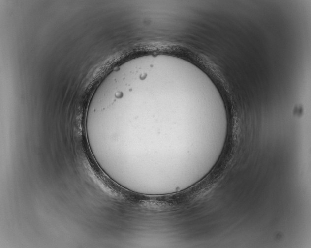 X0000115360633200911241217