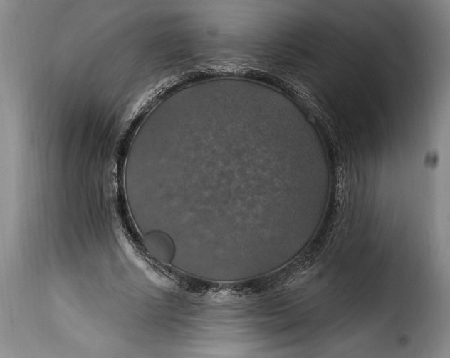 X0000115360634200911241217