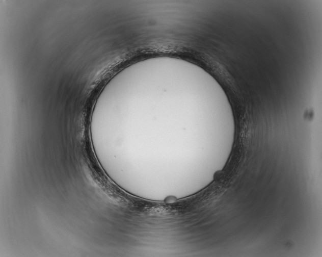 X0000115360635200911241217