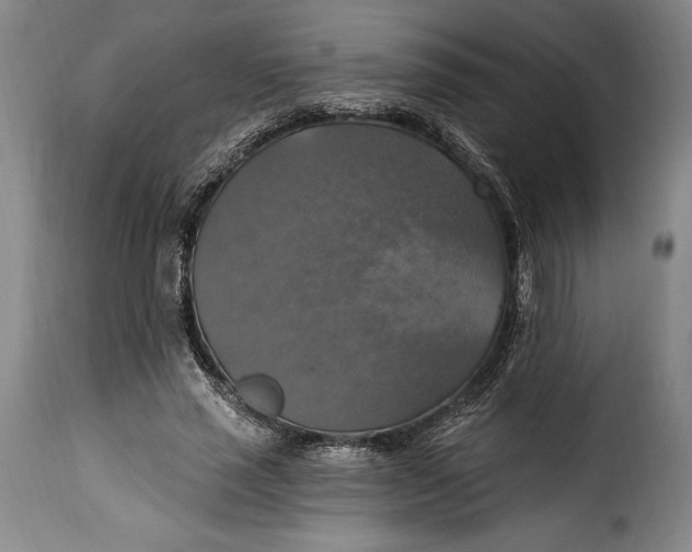 X0000115360637200911241217