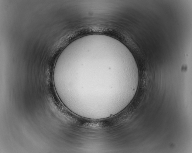 X0000115360639200911241217