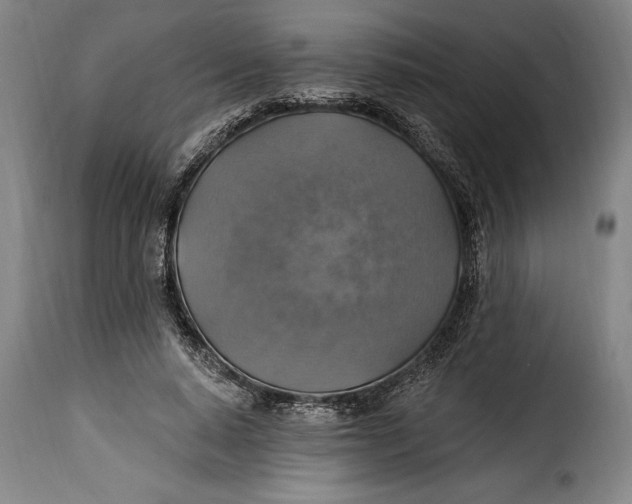 X0000115360640200911241217