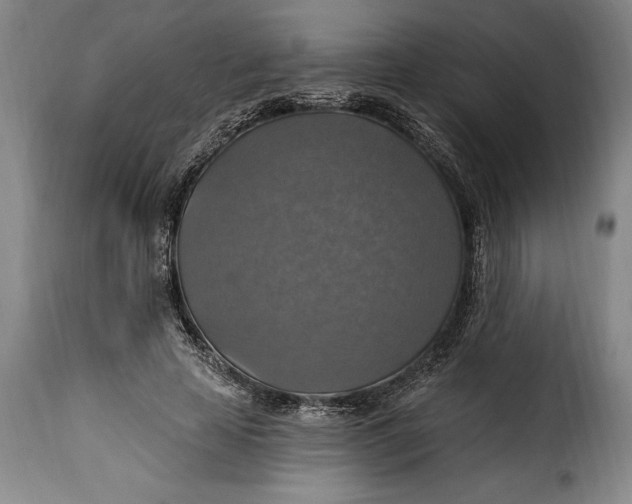 X0000115360641200911241217