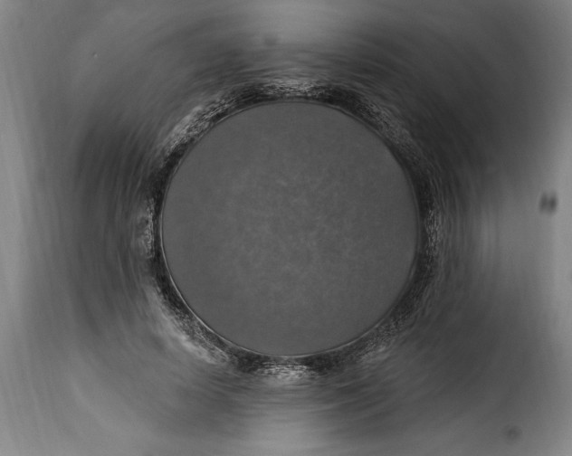 X0000115360642200911241217