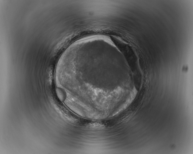 X0000115360644200911241217