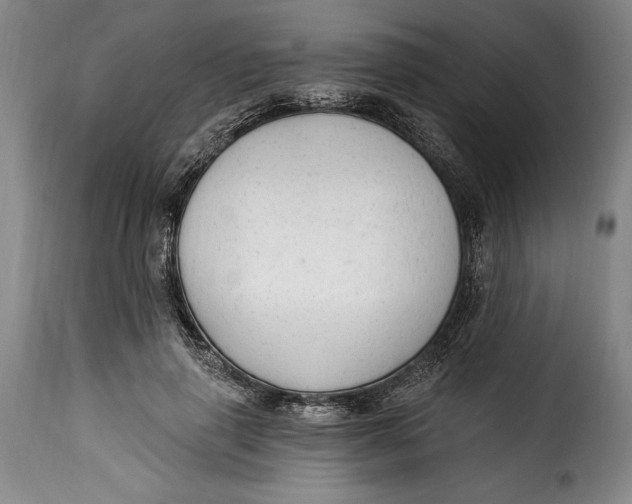 X0000115360645200911241217