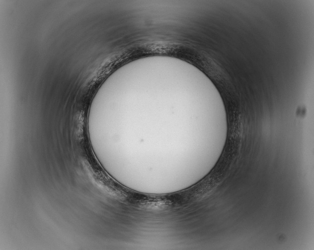 X0000115360646200911241217