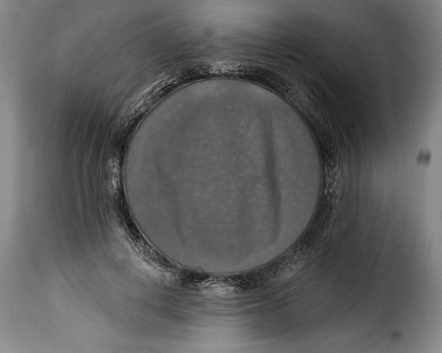X0000115360648200911241218