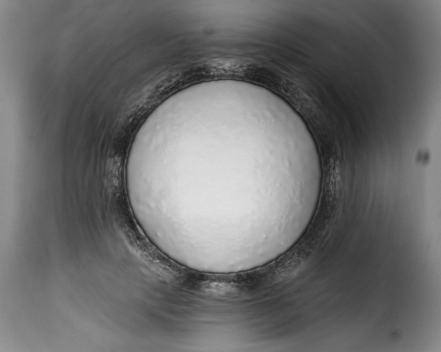 X0000115360649200911241218
