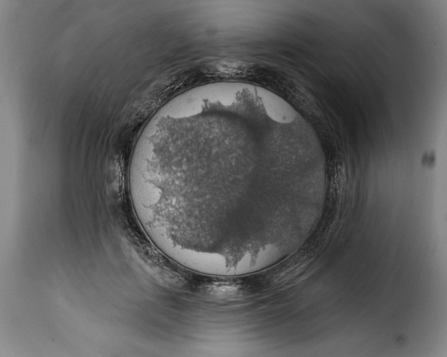 X0000115360651200911241218