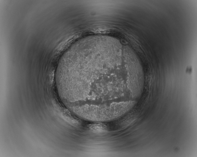 X0000115360652200911241218