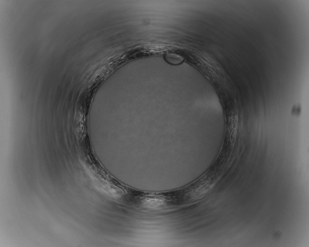 X0000115360653200911241218