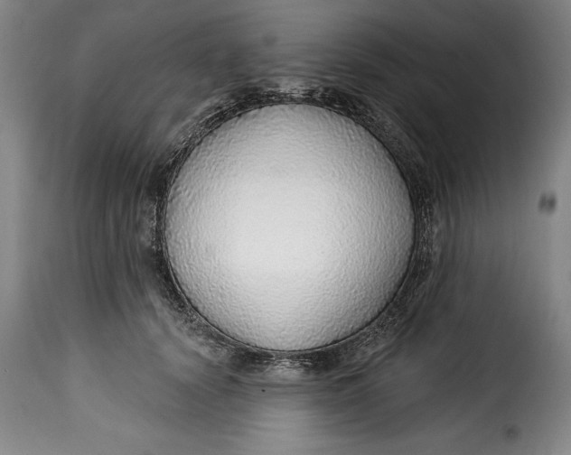 X0000115360656200911241218