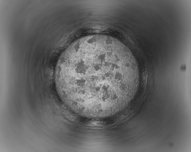 X0000115360657200911241218