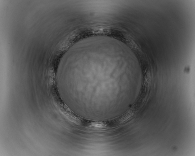 X0000115360659200911241218
