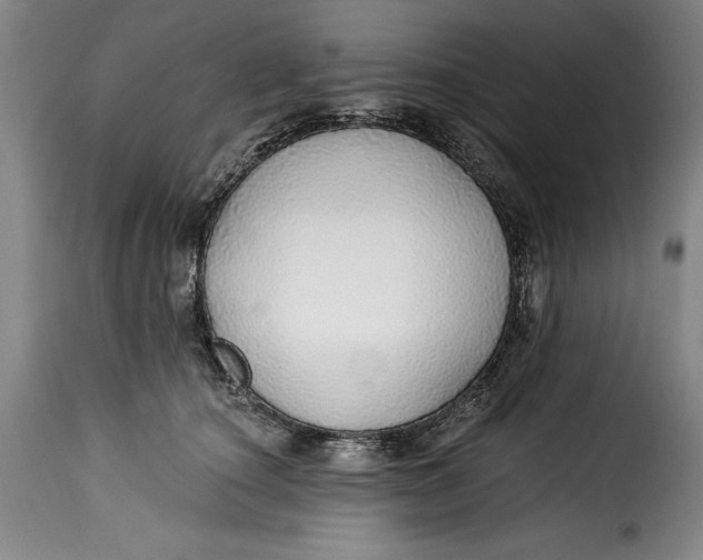 X0000115360660200911241218