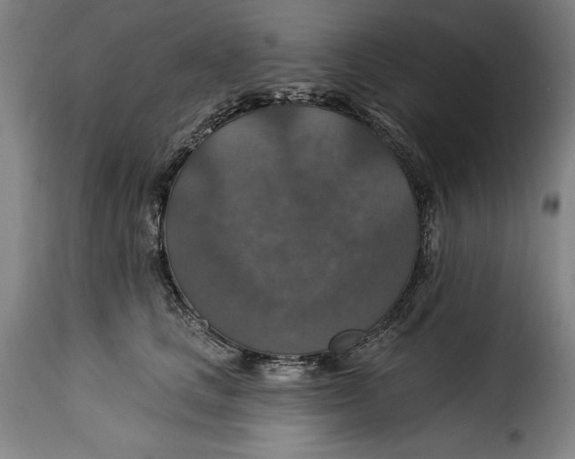 X0000115360661200911241218