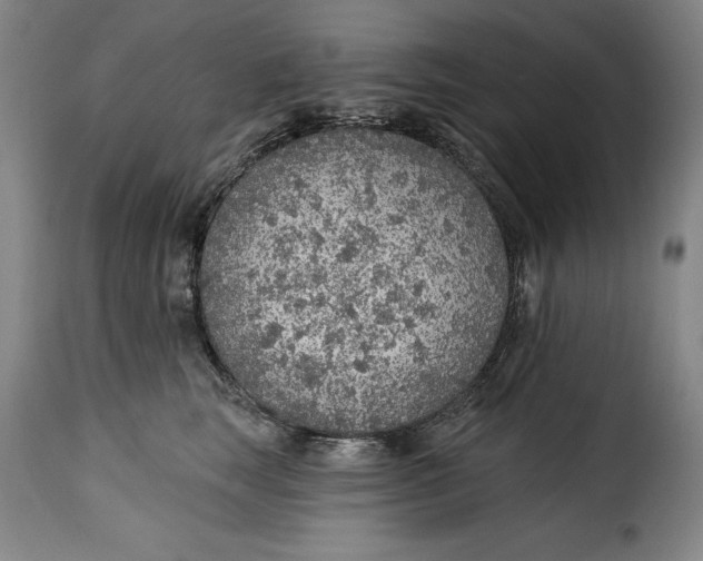 X0000115360663200911241218
