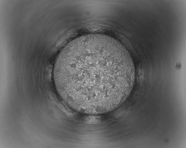 X0000115360664200911241218