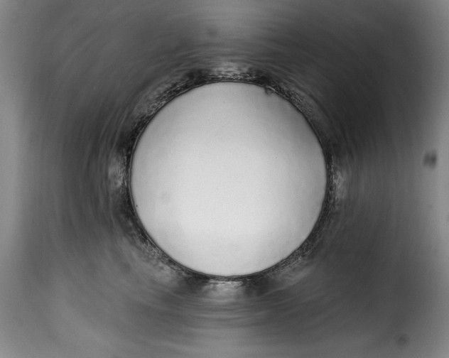 X0000115360665200911241218
