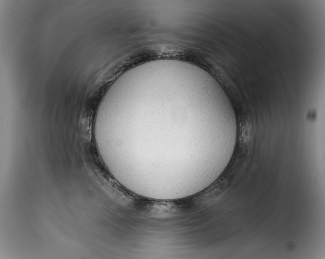 X0000115360666200911241218