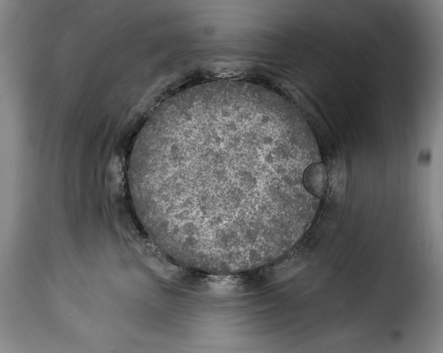 X0000115360667200911241218
