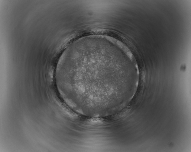 X0000115360668200911241218