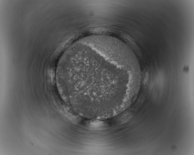 X0000115360669200911241218