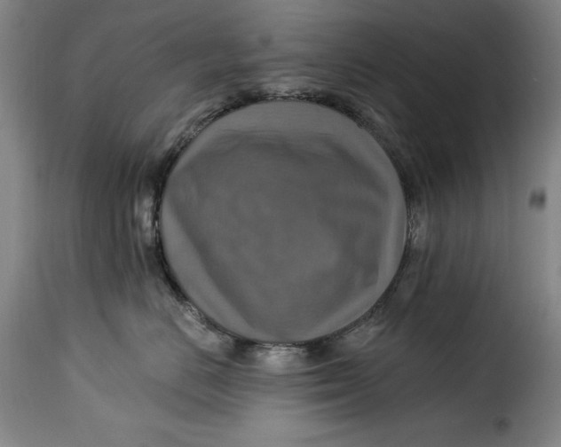 X0000115360670200911241218