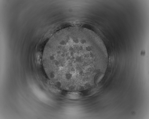 X0000115360671200911241218
