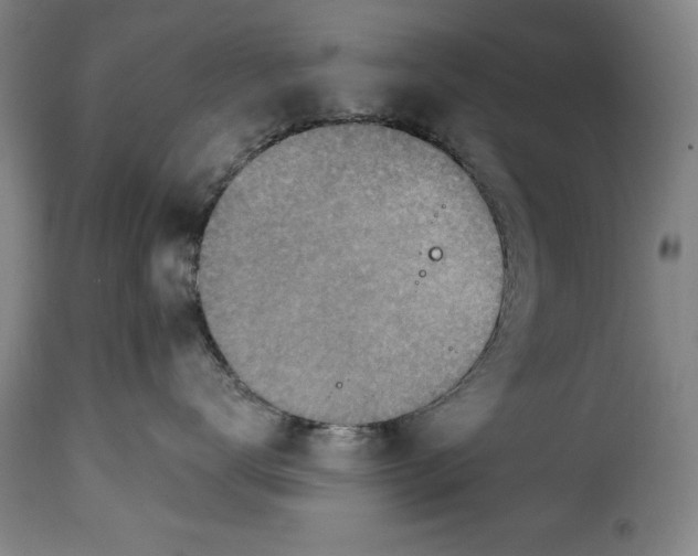 X0000115360672200911241218